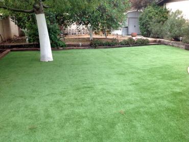 Artificial Grass Photos: Synthetic Turf North Glendale California  Landscape  Yard